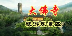 东北老骚逼视频中国浙江-新昌大佛寺旅游风景区